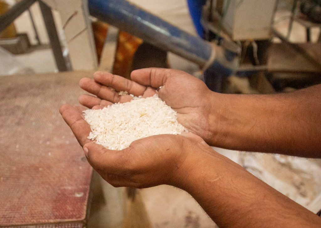Spring Agro Industries urges Ghanaians to choose local rice as imports dominate market