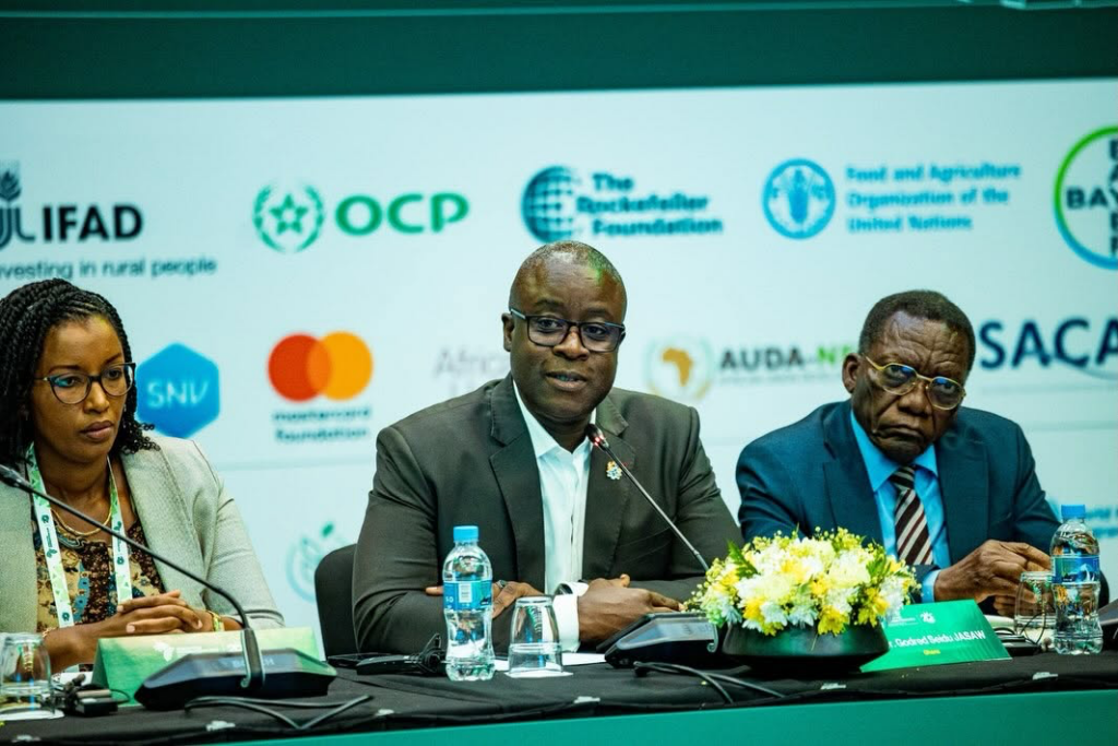 African governments must prioritise investment in food systems – Dr Jasaw