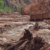 One still missing after Grand Canyon floods kill two and prompts rescue efforts