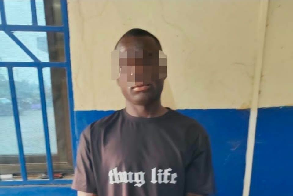 Police arrest man captured in viral video...