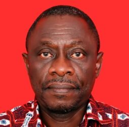 Power, politics and the battle for electoral credibility: Is Ghana’s electoral commission truly independent?