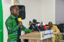 Yellow fever outbreak is under control – Health Minister