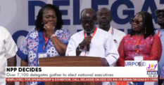 NPP approves 14 constitutional amendments despite earlier call to defer exercise