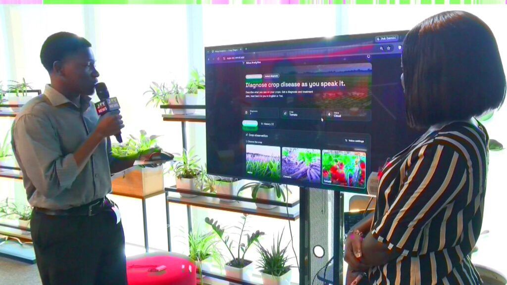 AI platform lets farmers name crop threats instead of showing photos