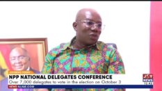 NPP sets up 31 voting centres to speed up national  executive  elections