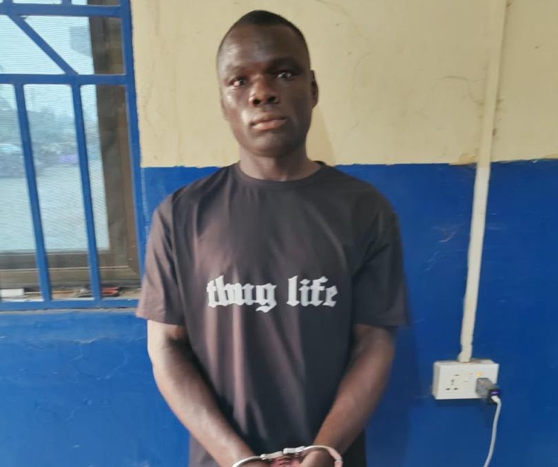 Farmer jailed for three months over...