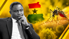 Analysis: Ghana’s yellow fever numbers reveal a gap between vaccination and protection