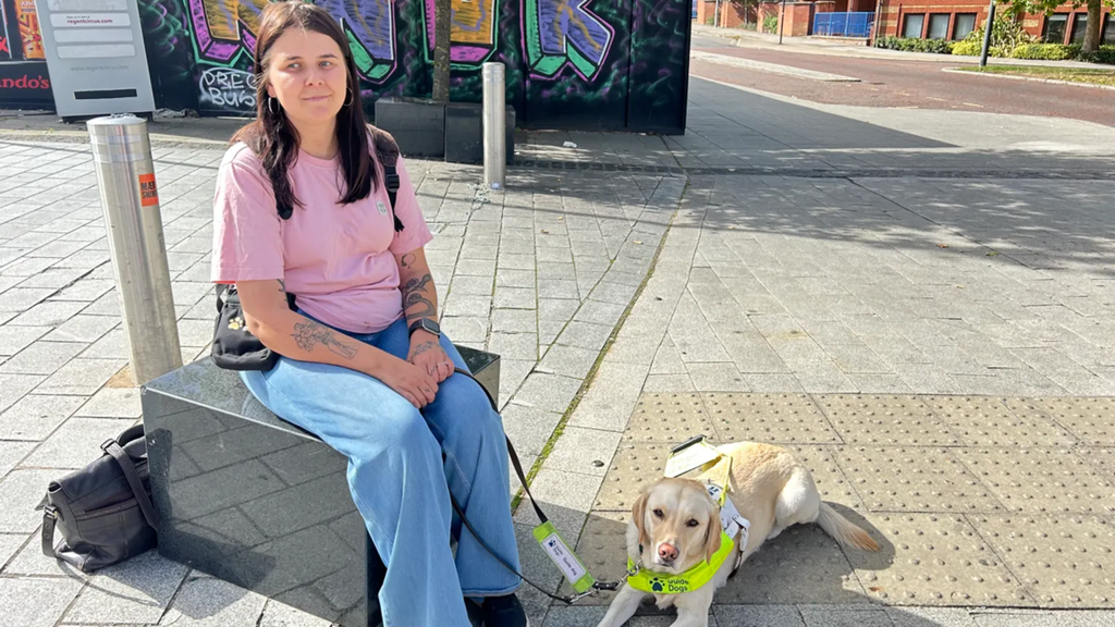 Blind guide dog owner says quiet EVs put lives at risk