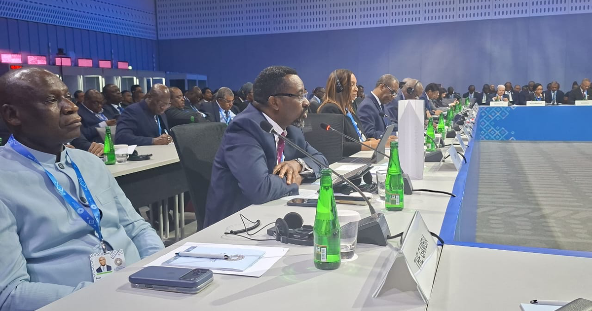 BoG Governor: Africa AI Rules Need IMF Support, Global Role