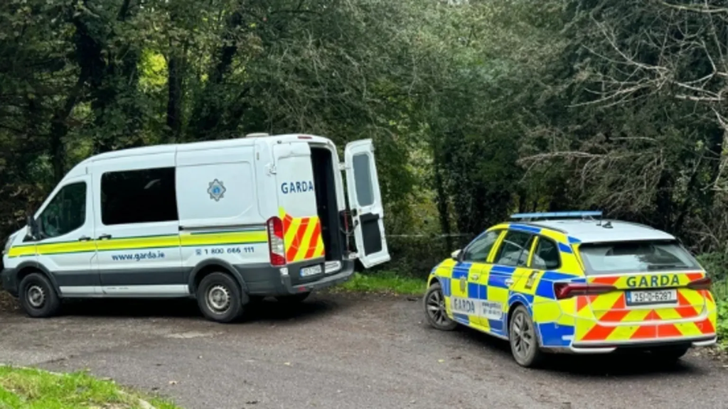 Investigation launched after male body found in County Cork