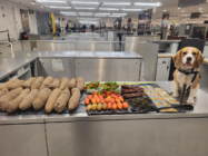 K9 dog sniffs out 72lbs of prohibited Ghanaian food items at JFK
