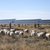 New Trump rules will make it harder for farmers to access US funds for energy projects