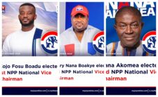 Kojo Bamba, Henry Nana Boakye and Nana Akomea elected NPP Vice Chairmen
